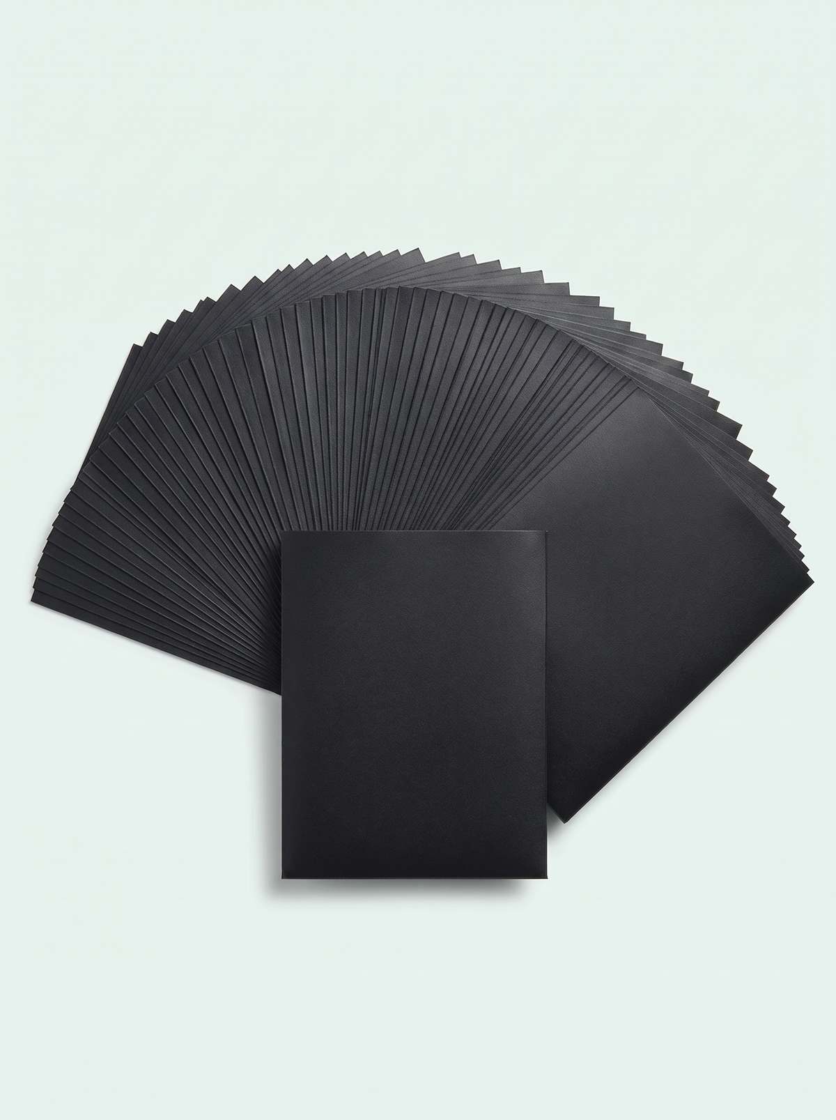 100 sleeves mates couleur noir
