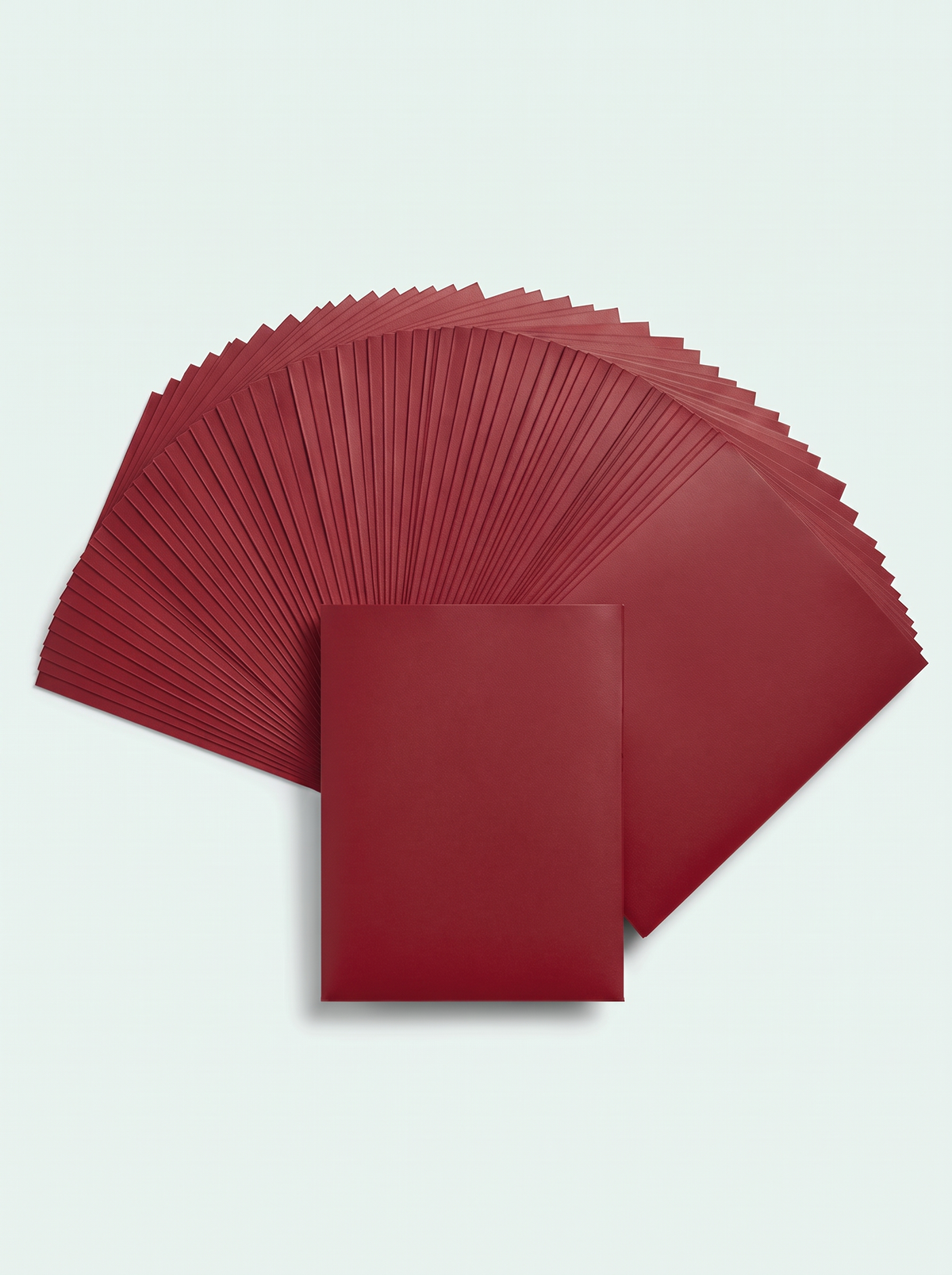 100 sleeves mates couleur rouge